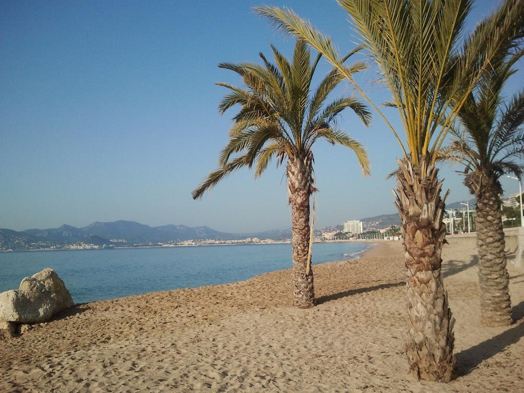 קאן Holiday Or Congress, Centre - Beach מראה חיצוני תמונה
